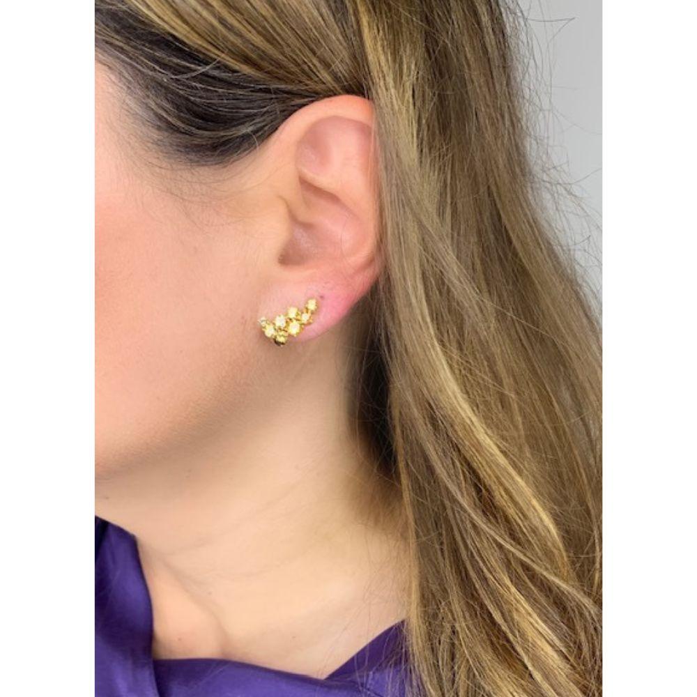 Aretes de oro amarillo 14K citrino